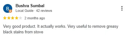 Google review from an Ecoland customer
