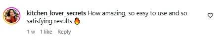 Google review from an Ecoland customer