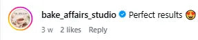 Google review from an Ecoland customer