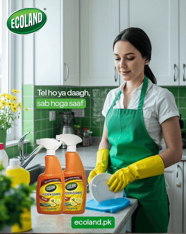 Kitchen Cleaner