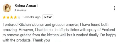 Google review from an Ecoland customer